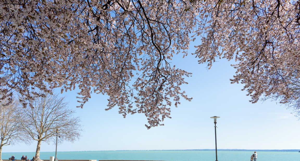 5 remek tavaszi programötlet a Balaton körül